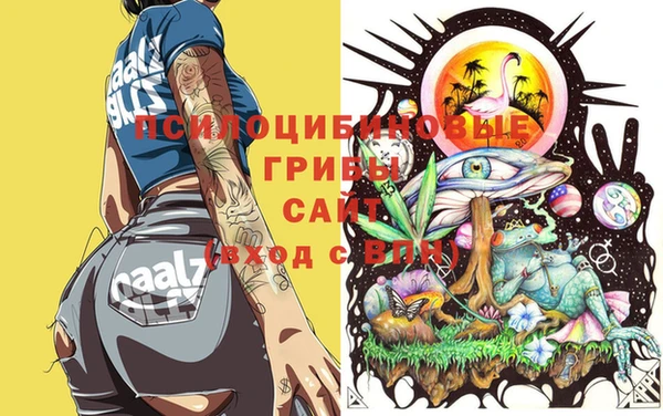 ешки Бугульма